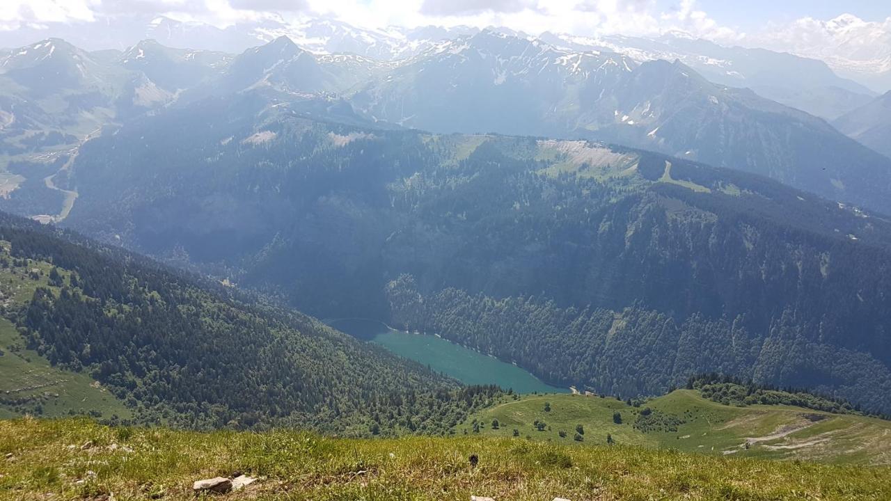 Appartement Proche Morzine Centre Et Remontees Mecaniques - Oree De Morzine 24A Монрьон Экстерьер фото